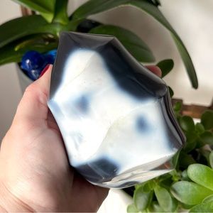 🌊🐋Large Orca Agate Crystal Flame Carving🐋🌊